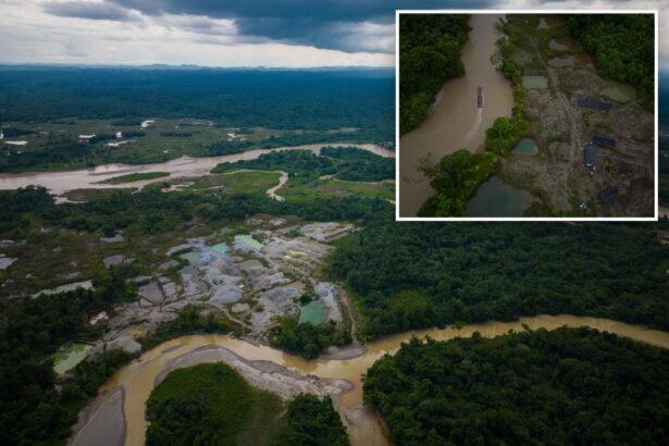 Over 90 arrests made during the environmental crime in the Amazon Basin