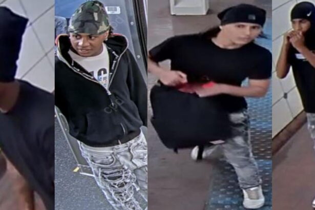 Passenger beaten and robbed at gunpoint inside North-Clybourn CTA station