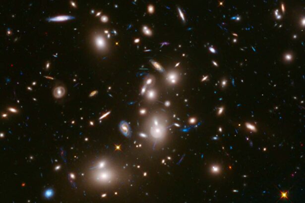 Peculiar galaxy seems to contain surprisingly pristine stars