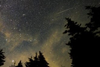 Perseids meteor shower may be a bust; skywatchers’ best bet is this week : NPR