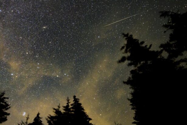 Perseids meteor shower may be a bust; skywatchers’ best bet is this week : NPR