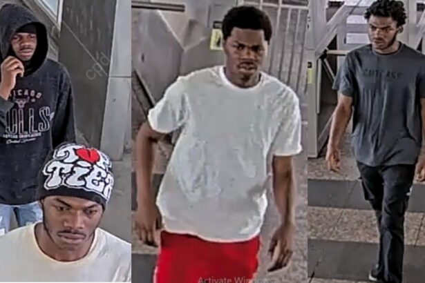 Phone thieves prowling Sox-35th Red Line station, CPD warns