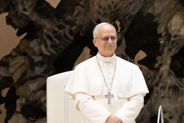 Pope Leo XIV Reaffirms Commitment to Ending Schism With Orthodox Churches