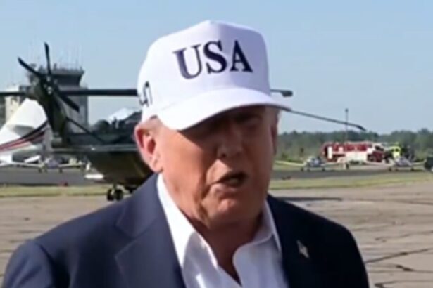 President Trump Responds to Elon Musk Creating His Own Political Party: ‘I Think it’s Ridiculous’ (VIDEO) |