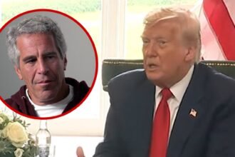 President Trump Says He Didn’t Have the ‘Privilege’ of Going to Epstein Island