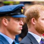 Prince Harry’s Royal Peace Talks ‘Mean Nothing’ Without Prince William