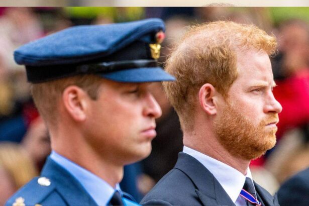 Prince Harry’s Royal Peace Talks ‘Mean Nothing’ Without Prince William