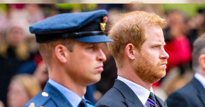 Prince Harry’s Royal Peace Talks ‘Mean Nothing’ Without Prince William
