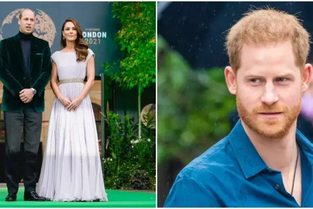 Prince William and Kate Had ‘Zero Prescence’ at Peace Talks