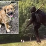Prospect Park dog killer threatens to shoot animal’s owner