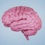 Protein signatures may one day tell brain diseases apart before symptoms