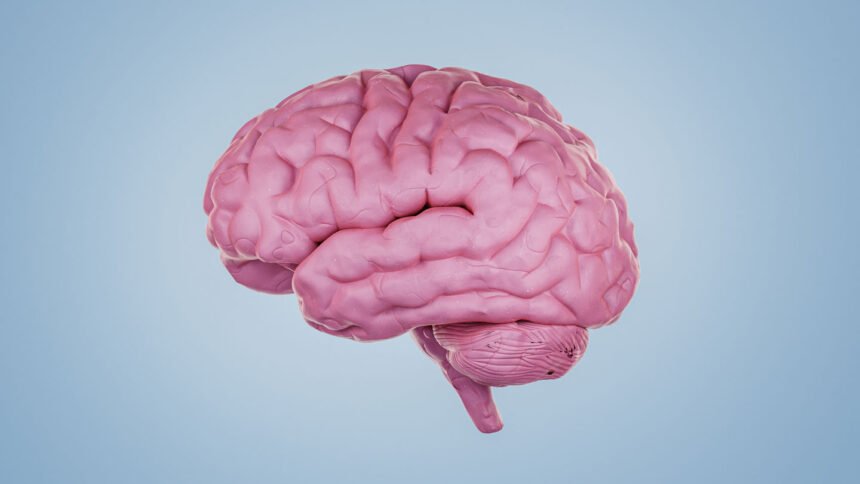 Protein signatures may one day tell brain diseases apart before symptoms
