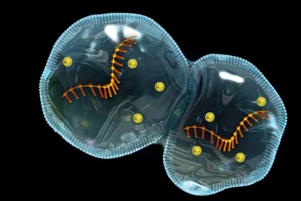 Protocells self-assembling on micrometeorites hint at origins of life