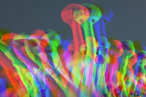 Psilocybin Extends Life of Human Cells by 50% in Wild New Study : ScienceAlert