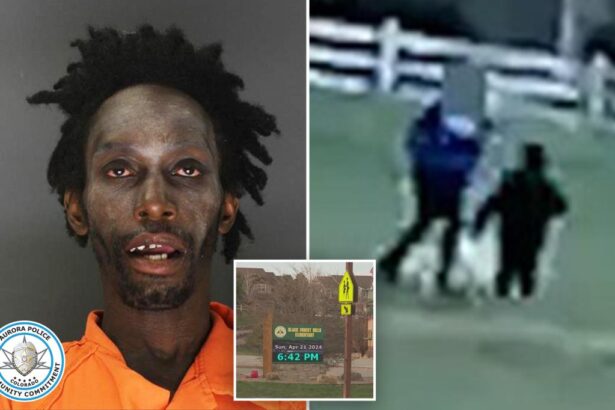 Registered sex offender to walk free after elementary school kidnapping attempt, prosecutors say