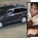 Reward offered after woman killed, fiancé injured in Pilsen hit-and-run