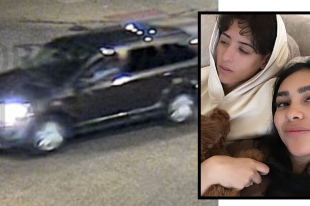 Reward offered after woman killed, fiancé injured in Pilsen hit-and-run