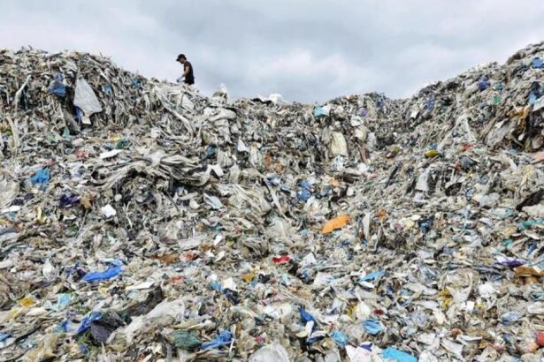 Right to repair ‘would reduce inequality’