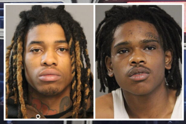 Robbers took shoes, electronics from Red Line passengers: prosecutors