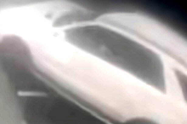 SHOCK VIDEO: Italian Socialite Charged With Murder After Repeatedly Running Over Moroccan Thief With Her Car, Faces Life in Prison |