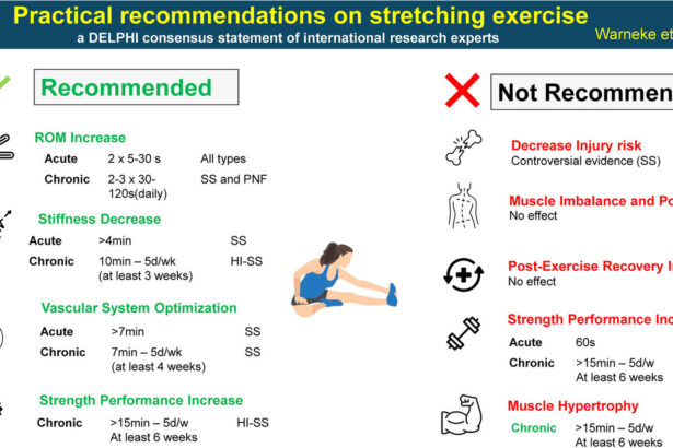 Scientifically grounded recommendations for stretching published for the first time