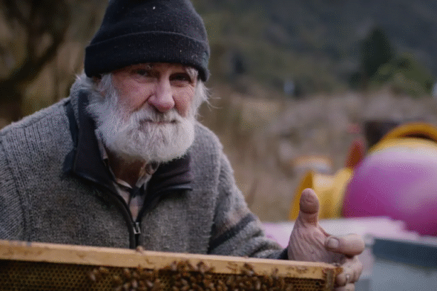 Search resumes for missing West Coast tramper