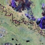 See Earth’s Forests as Never Before in Biomass Satellite’s First Images