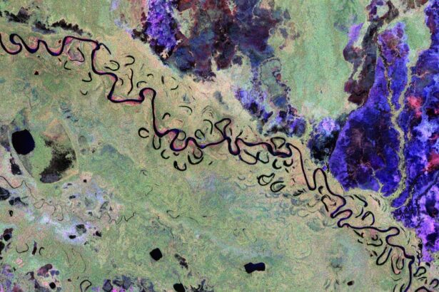See Earth’s Forests as Never Before in Biomass Satellite’s First Images