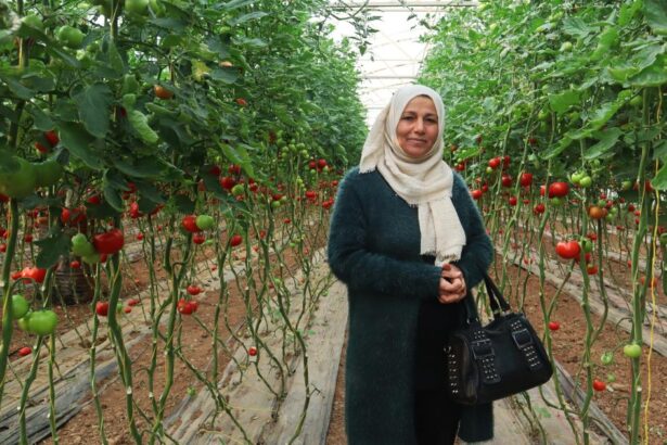 Seeding ecofeminism in Rojava