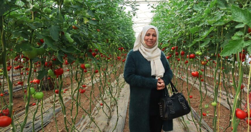 Seeding ecofeminism in Rojava