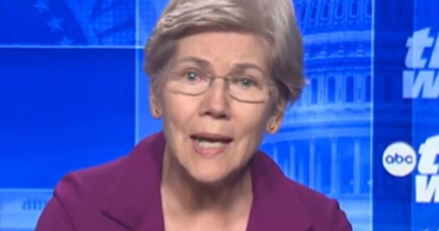 Sen. Elizabeth Warren Backs Zohran Mamdani’s Proposal For State-Owned Grocery Stores (VIDEO) |