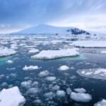 Shrinking Antarctic sea ice is warming the ocean faster than expected