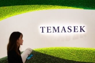 Singapore’s Temasek sours on European companies amid US tariff threats