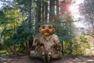 Six Activist Trolls Tromp Through a California Woodland to ‘Save the Humans’ — Colossal