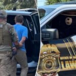 Smokey the Bear arrests man for allegedly stealing his signs in Florida to sell on Facebook