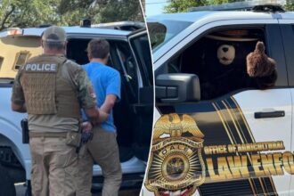 Smokey the Bear arrests man for allegedly stealing his signs in Florida to sell on Facebook