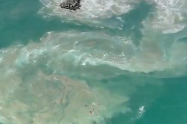 SoCal: Hundreds Rescued from “Monster Rip Current” in Newport Beach on 4th of July (VIDEO) |
