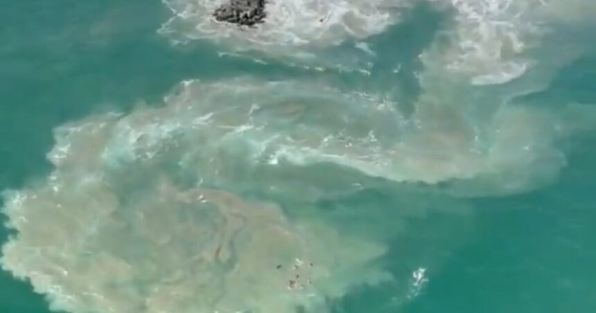 SoCal: Hundreds Rescued from “Monster Rip Current” in Newport Beach on 4th of July (VIDEO) |