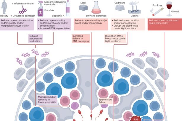 Study suggests semen quality could signal broader health concerns for men