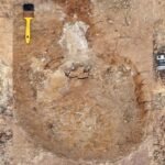 Stunning Dinosaur Tracks Appear to Show Something Never Seen Before : ScienceAlert