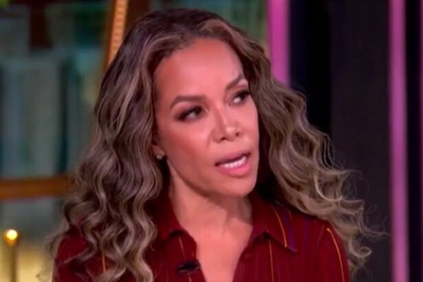 Sunny Hostin of ‘The View’ Says ICE Deserves Coming ‘Reckoning’ as Agents Are Being Attacked by Violent Leftists (VIDEO) |