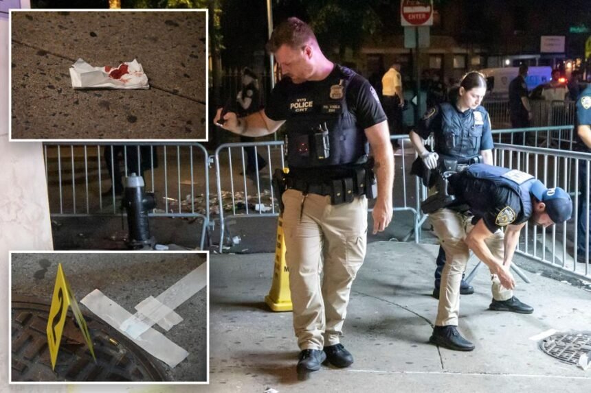 Teen charged with attempted murder in NYC shooting near Stonewall