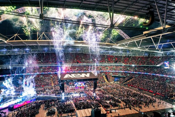 All In 2024 was a spectacle [Image credit: AEW
