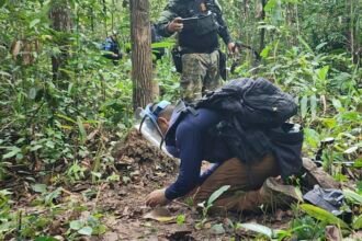 Thai and Cambodian soldiers fire at each other in disputed border area : NPR