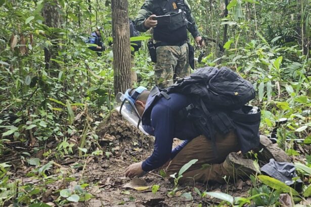 Thai and Cambodian soldiers fire at each other in disputed border area : NPR
