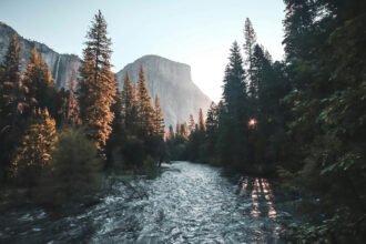 The Court Has Spoken: A Healthy Climate is a Human Right