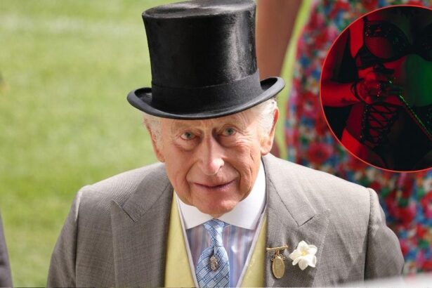 The King’s Royal Residence Surrounded by Prostitute ‘Gang’