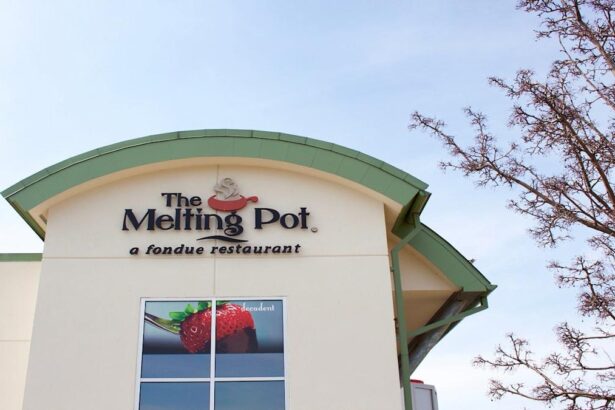The Melting Pot appoints new CEO as part of leadership overhaul
