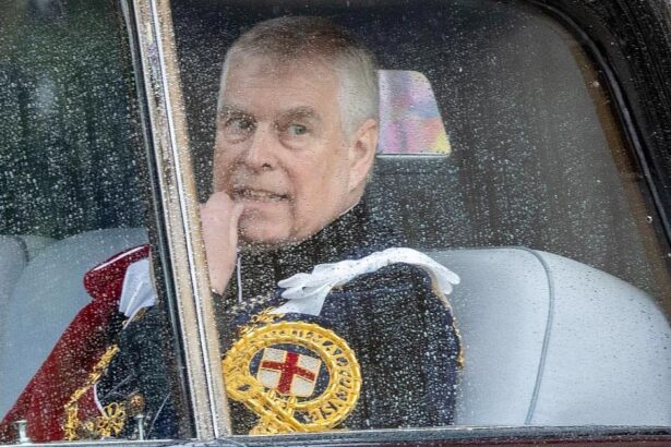 The Royal Family Has Been Shamed By Yet Another Sex Scandal