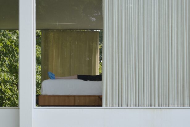 The Woman Behind the Iconic Glass House